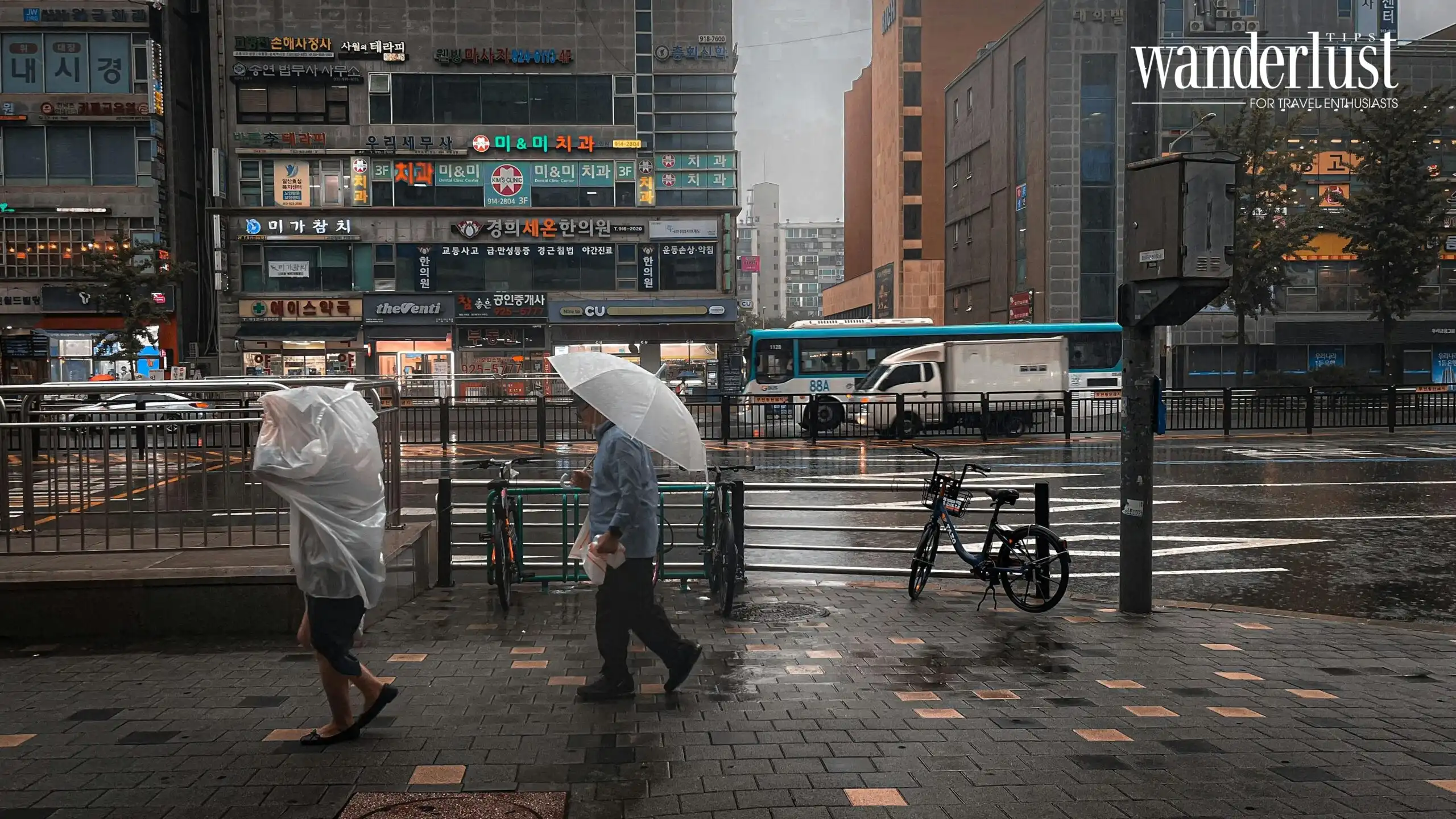 Mua thi sao Hay bien con mua thanh ky niem du lich dang nho 1 scaled