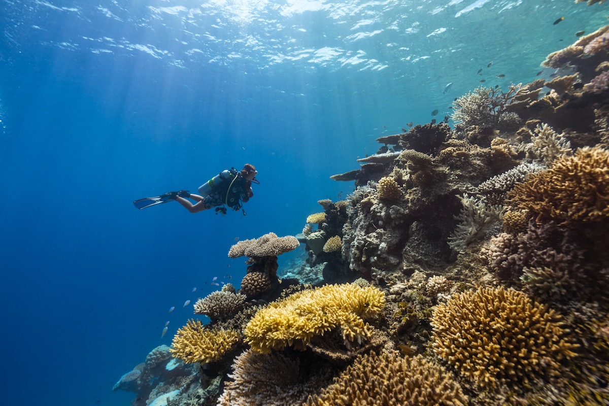 Bi Mat Tuyet Voi Cua Maldives Noi Thien Nhien La Bau Vat va San Ho La Ngoi Sao