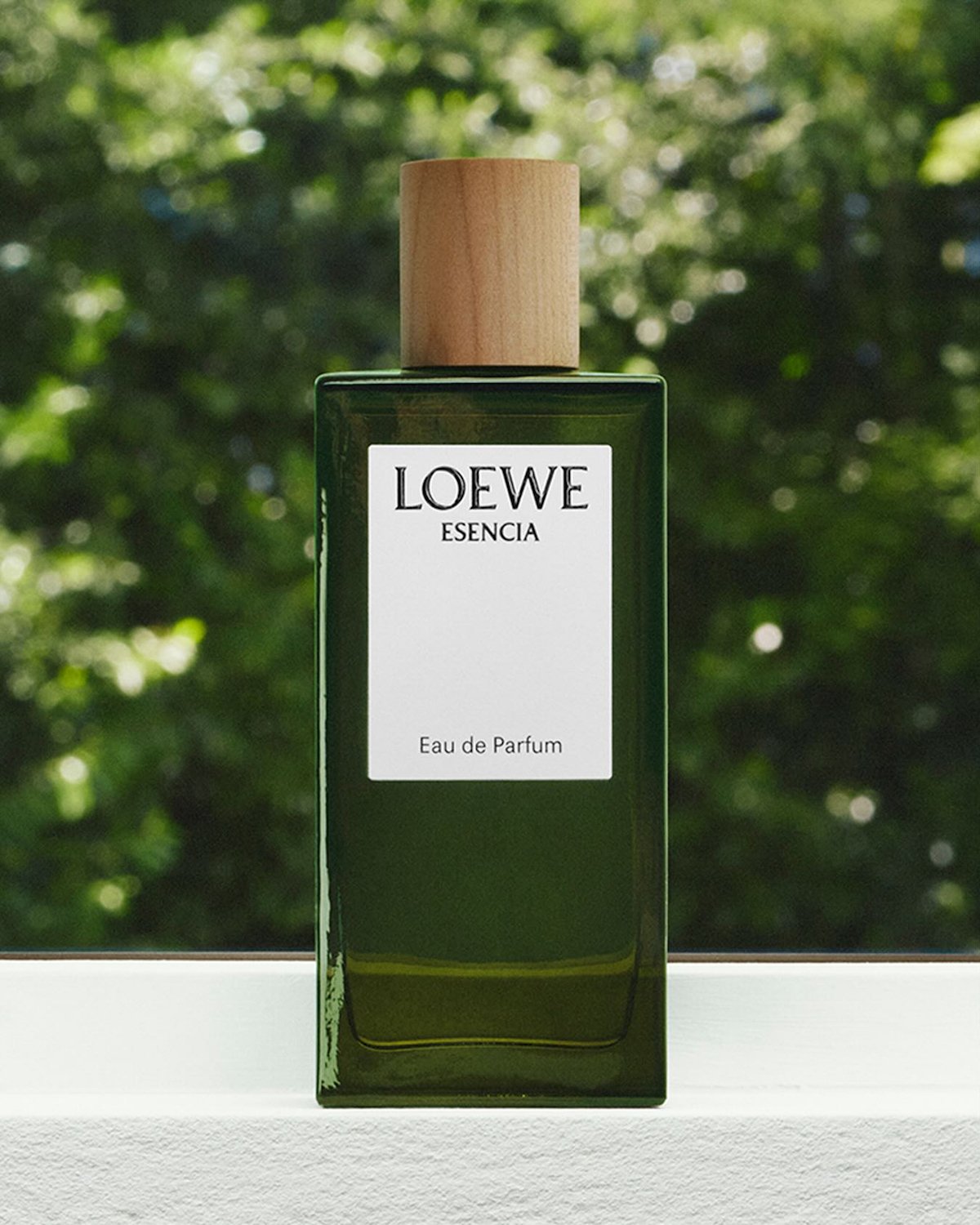 Kham pha the gioi nuoc hoa dang cap tu Loewe 3