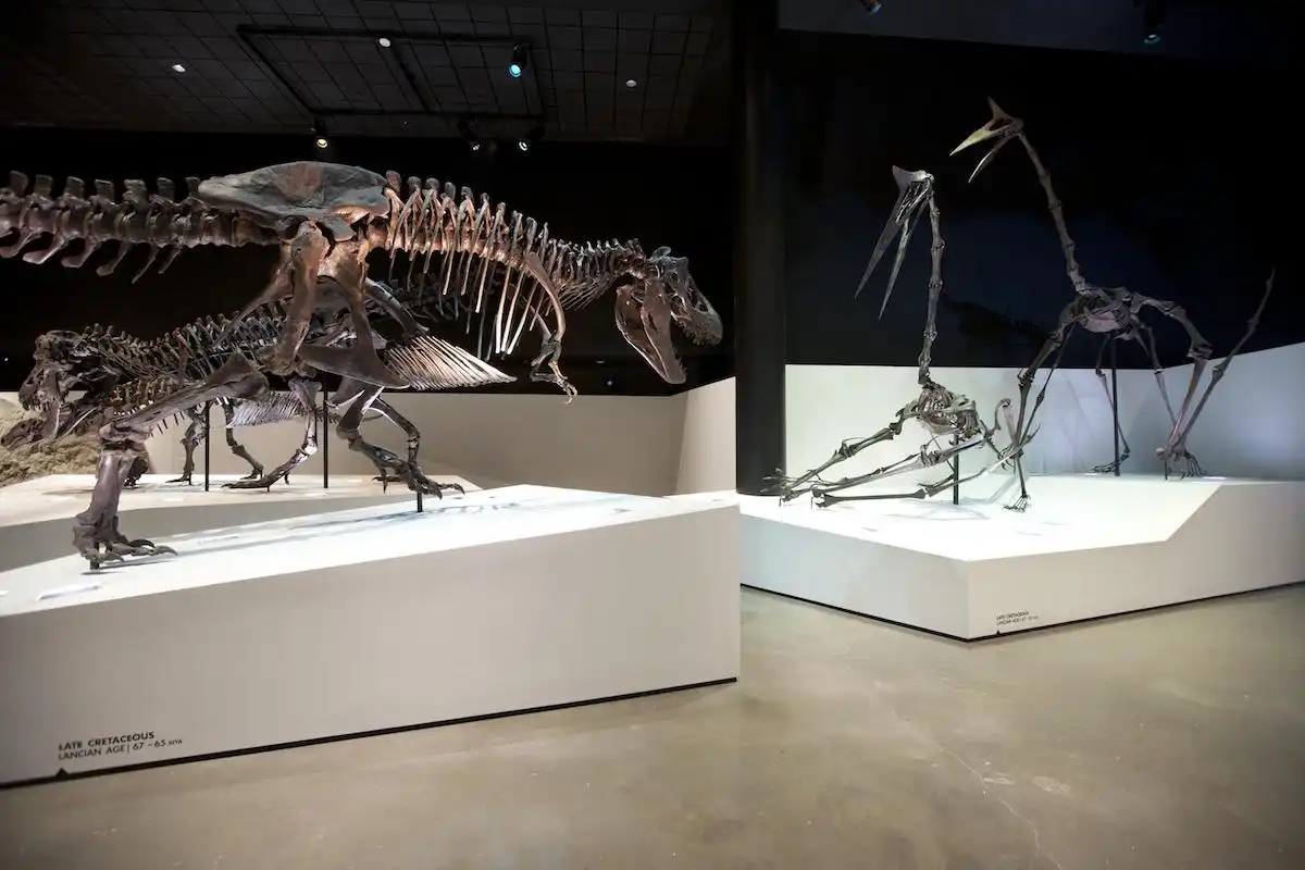 Houston-thanh-pho-da-sac-mau-cua-bang-texas