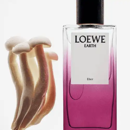 loewe-perfum-chan-dung-noi-tam-duoc-ve-bang-huong-sac