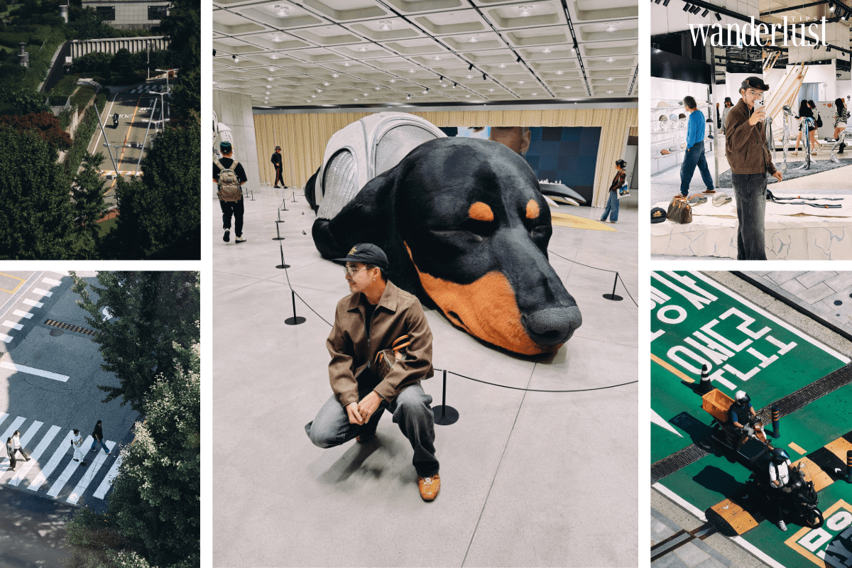 Seoul Mùa Thu: Một Ngày Trải Nghiệm Trọn Vẹn Cùng Lý Thành Cơ 6 Seoul Mùa Thu Một Ngày Trải Nghiệm Trọn Vẹn Cùng Lý Thành Cơ