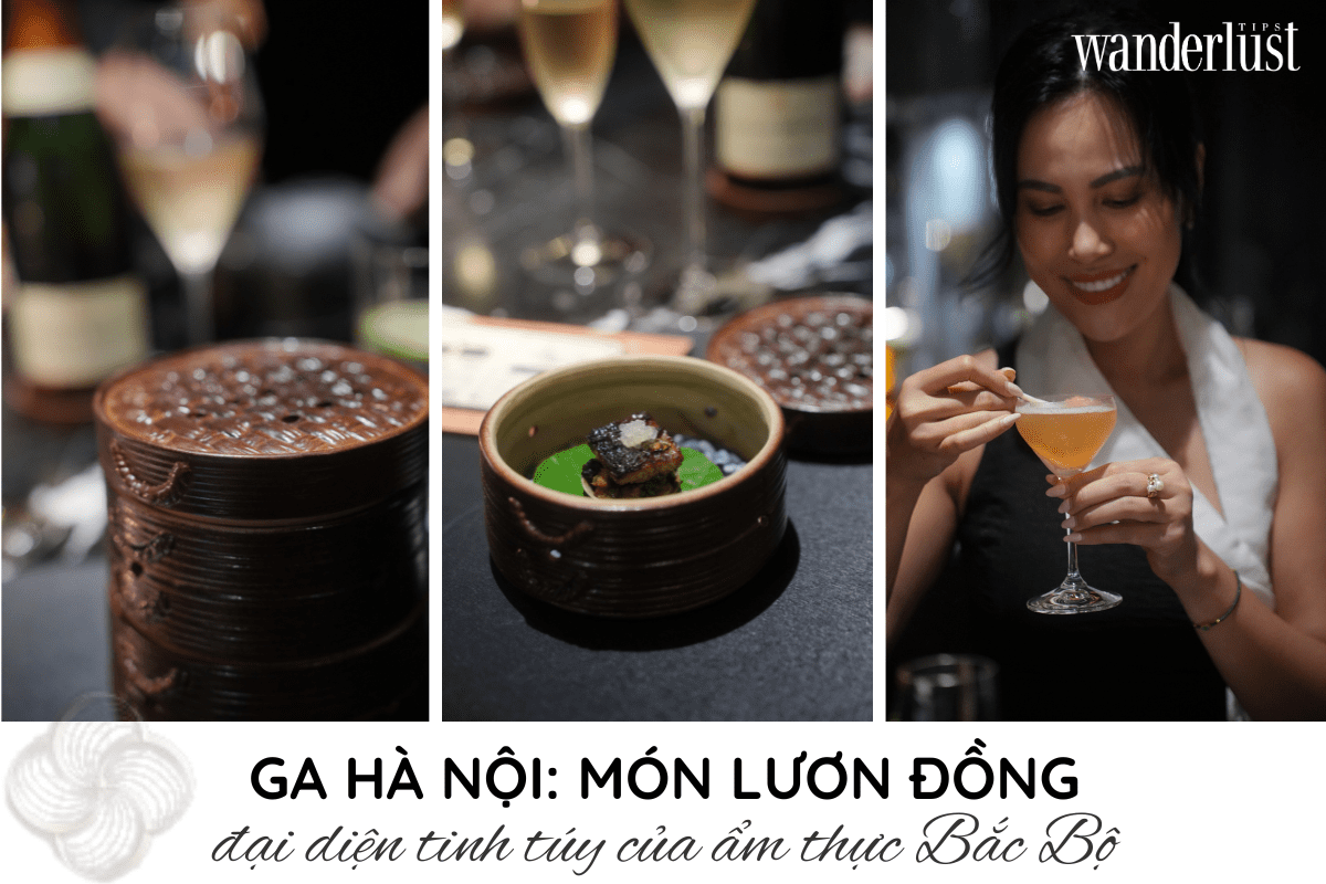 coco-dining-hanh-trinh-am-thuc-danh-thuc-moi-giac-quan