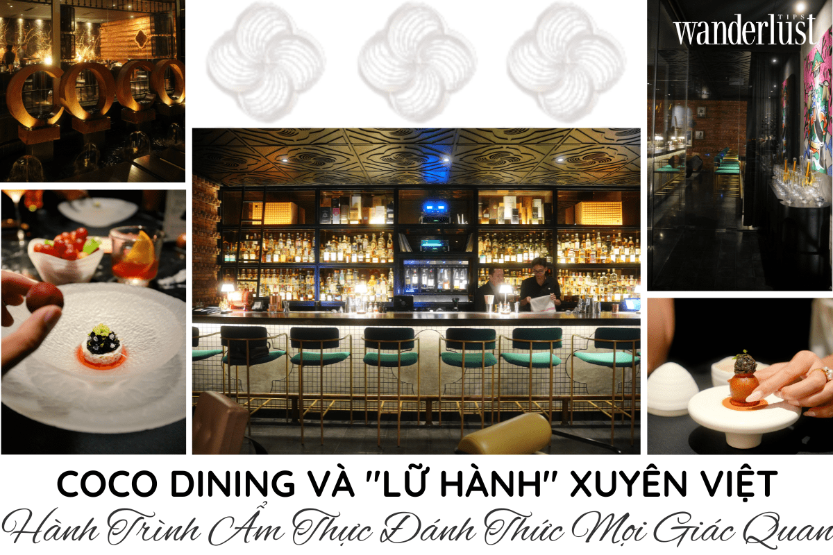 CoCo Dining và “Lữ Hành” Xuyên Việt: Hành Trình Ẩm Thực Đánh Thức Mọi Giác Quan