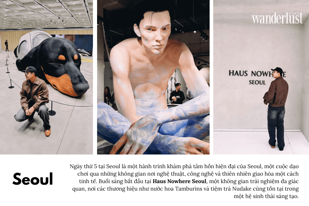 k-culture-hanh-trinh-danh-thuc-giac-quan