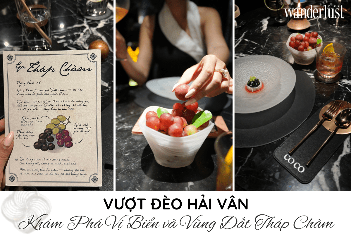 coco-dining-hanh-trinh-am-thuc-danh-thuc-moi-giac-quan-voi-thuc-don-lu-hanh