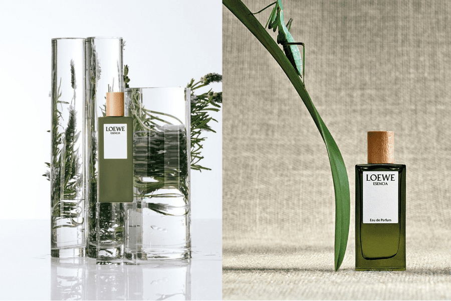LOEWE: Quà lễ hội hương thơm tinh hoa 8 Loewe
