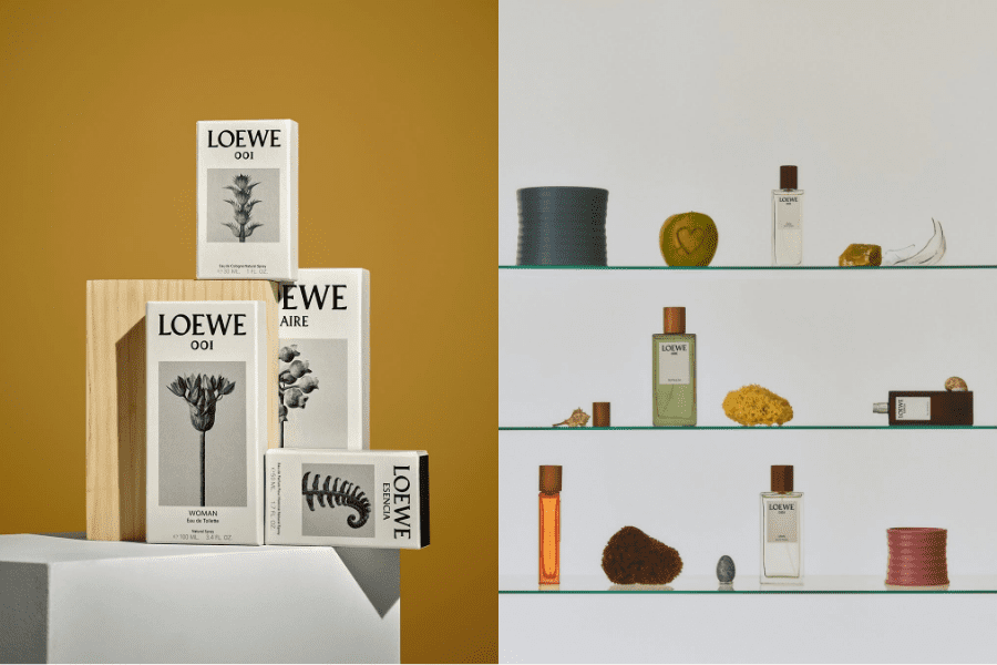 LOEWE: Quà lễ hội hương thơm tinh hoa 11 Loewe