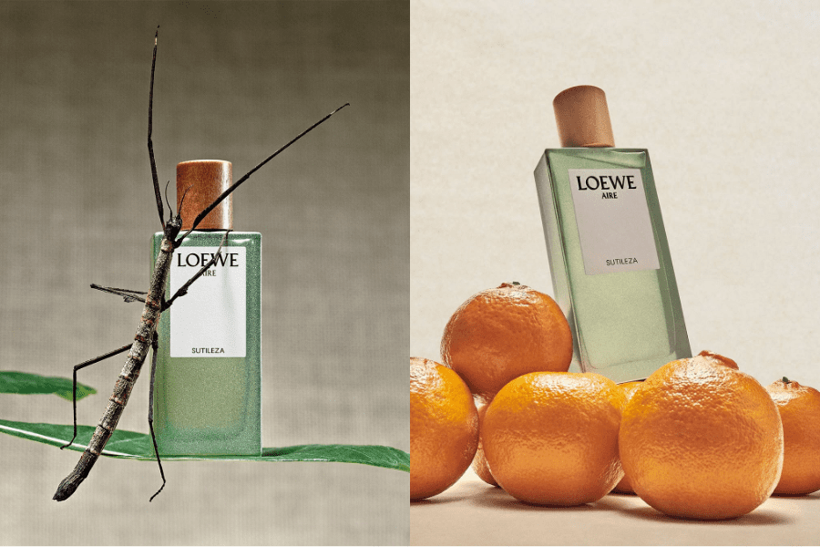 Loewe Sutileza: Làn gió thanh khiết cho phong cách hiện đại