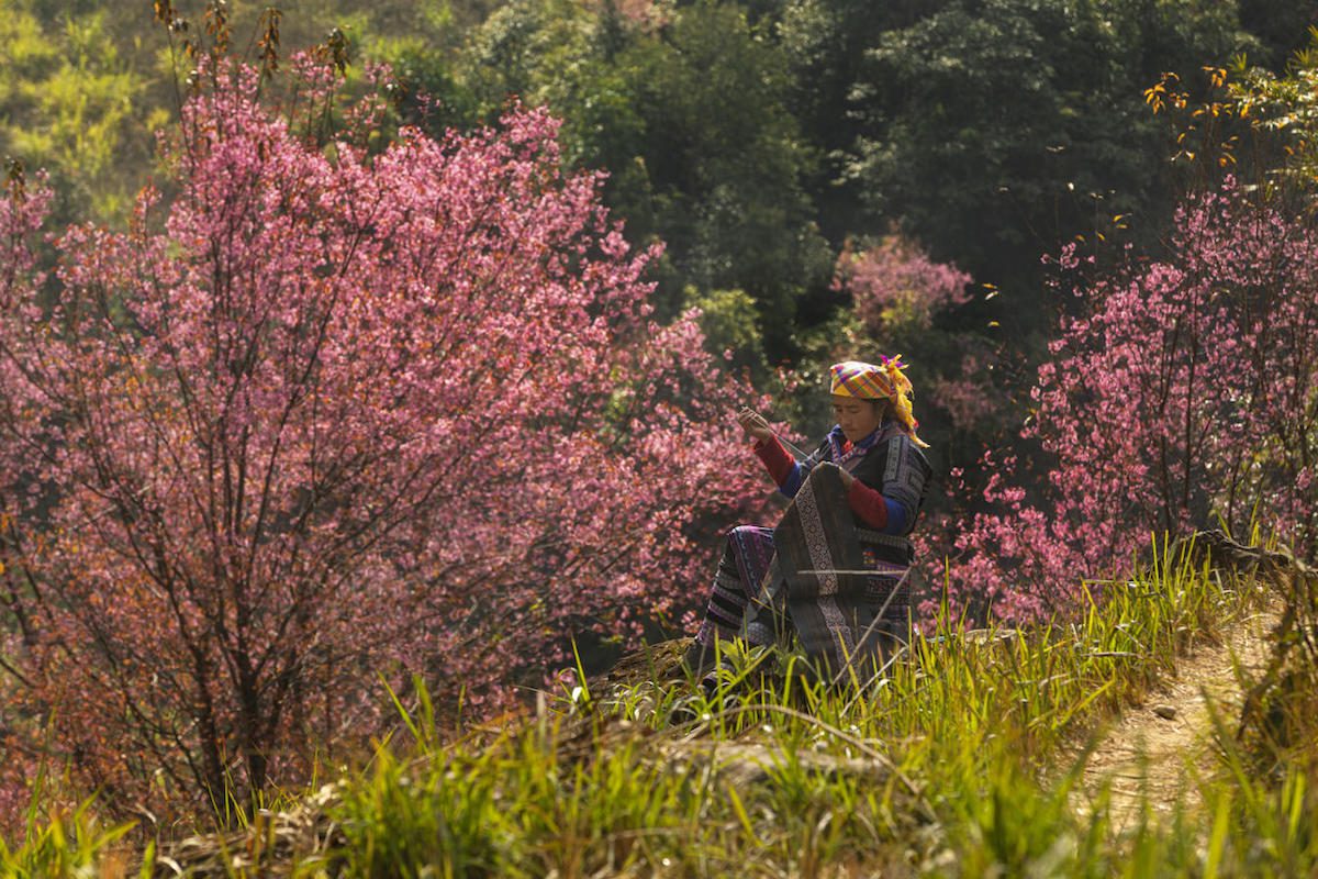 Mù Cang Chải: Khi đông chưa qua nhưng xuân đã vội tới 6 Mù Cang Chải