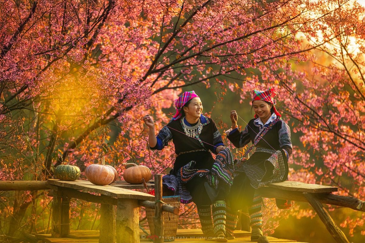 Mù Cang Chải: Khi đông chưa qua nhưng xuân đã vội tới