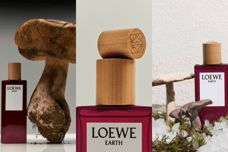 Loewe Earth: Khi thiên nhiên chạm đến tâm hồn hiện đại 6 Loewe Earth