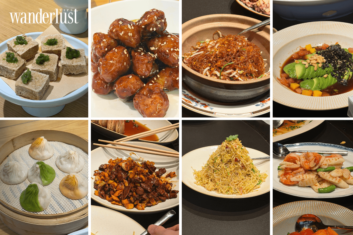 Cáp Nhĩ Tân: Hành trình chạm vào giấc mơ băng giá 10 Cáp Nhĩ Tân