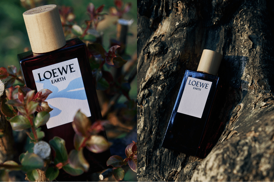 LOEWE Earth
