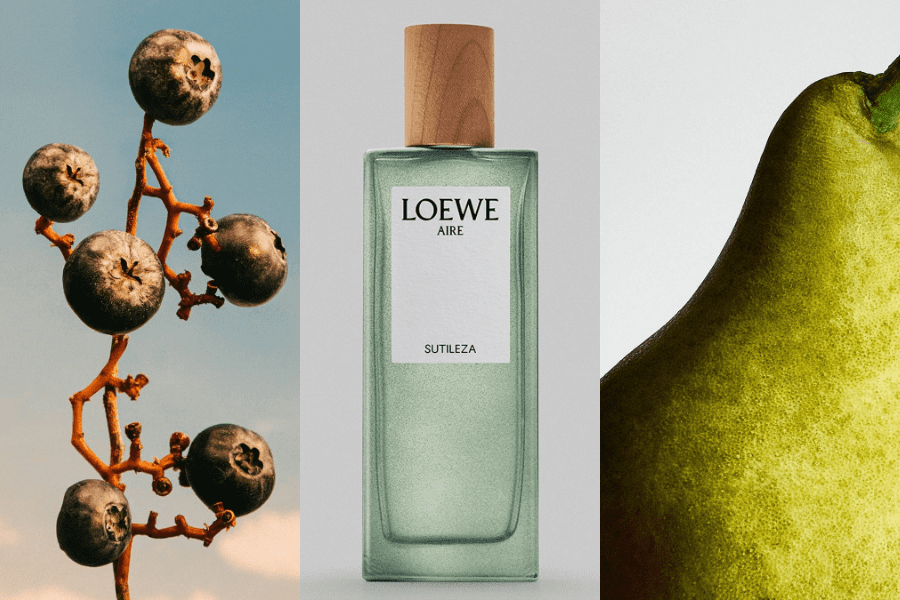 LOEWE Aire Sutileza: Khi sự tinh khiết trở thành dấu ấn