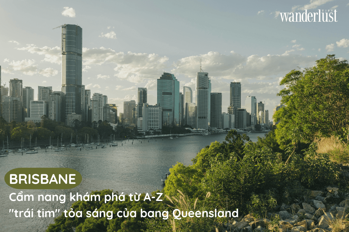 Brisbane Cẩm nang khám phá từ A-Z "trái tim" tỏa sáng của bang Queensland