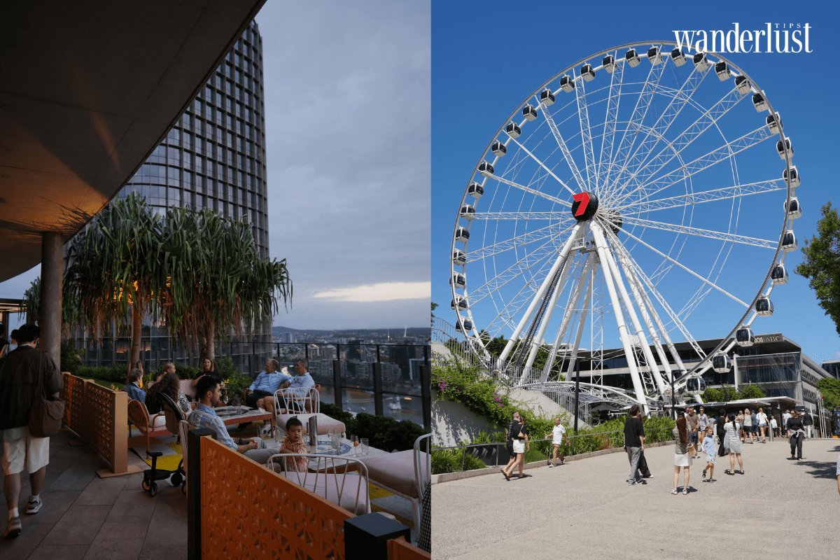 Brisbane: Cẩm nang khám phá từ A-Z "trái tim" tỏa sáng của bang Queensland 7 Brisbane Cẩm nang khám phá từ A-Z "trái tim" tỏa sáng của bang Queensland