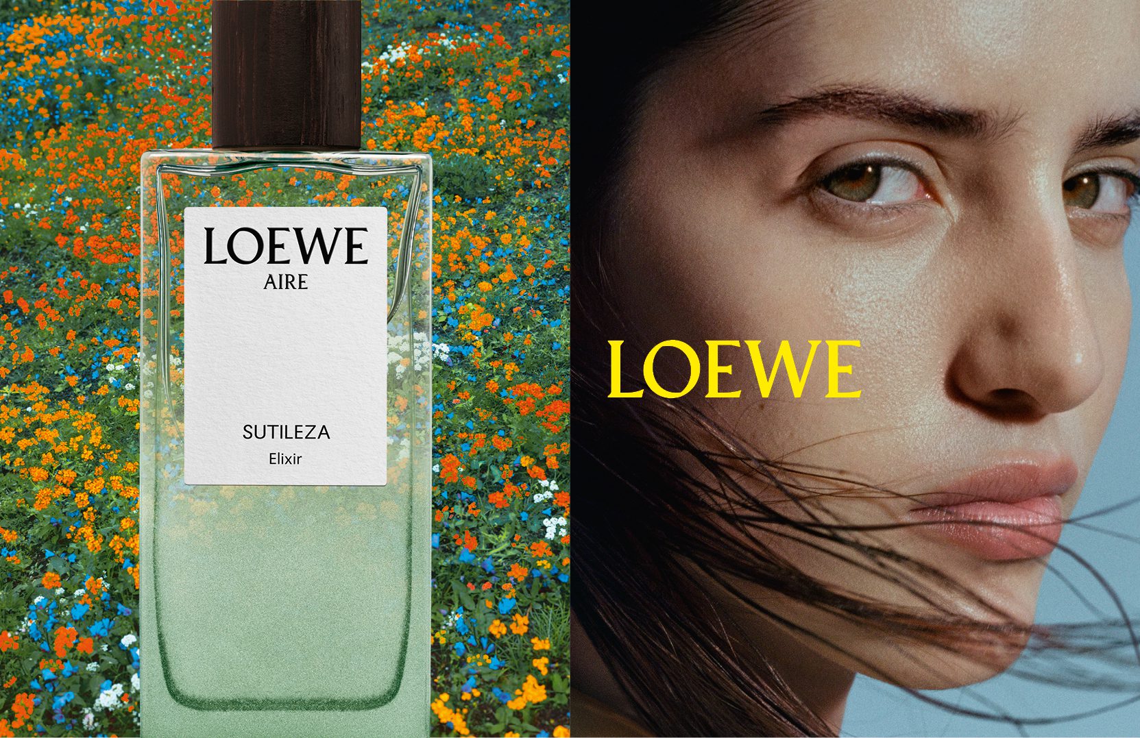 Cùng ngắm nhìn chiến dịch quảng bá nước hoa LOEWE đầu tiên của Jack McCollough và Lazaro Hernandez 5 LOEWE