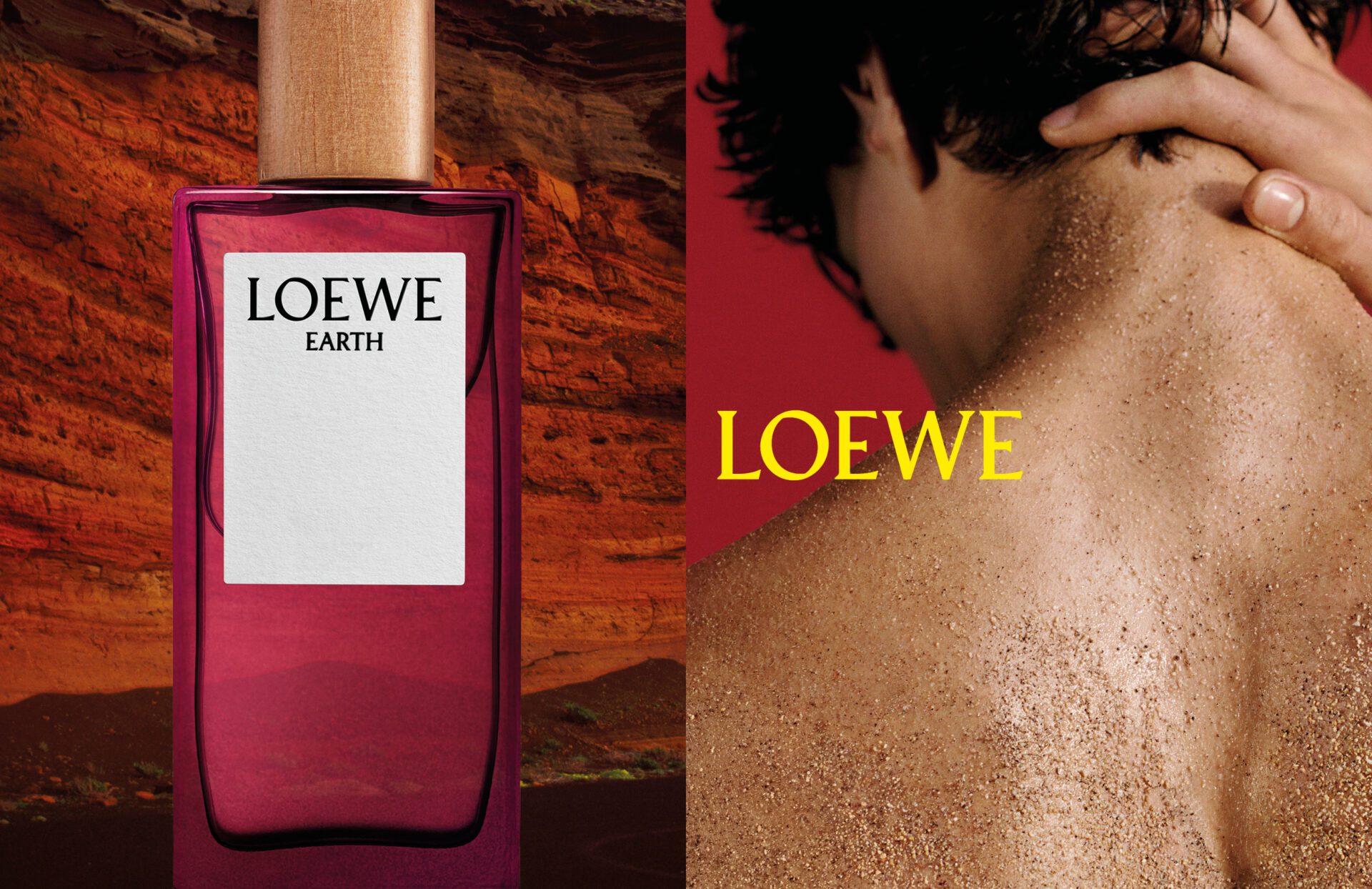 Cùng ngắm nhìn chiến dịch quảng bá nước hoa LOEWE đầu tiên của Jack McCollough và Lazaro Hernandez 6 LOEWE