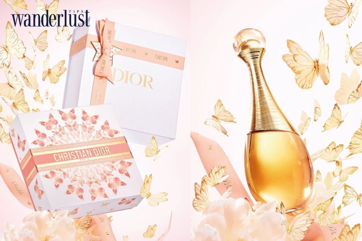 Nồng độ nước hoa: Sự thật về độ lưu hương và những lầm tưởng kinh điển 6 Nồng độ nước hoa Sự thật về độ lưu hương và những lầm tưởng kinh điển