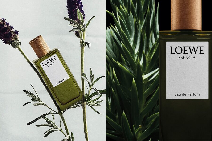 LOEWE Perfumes Những Sắc Xanh dành riêng cho người Cha hiện đại