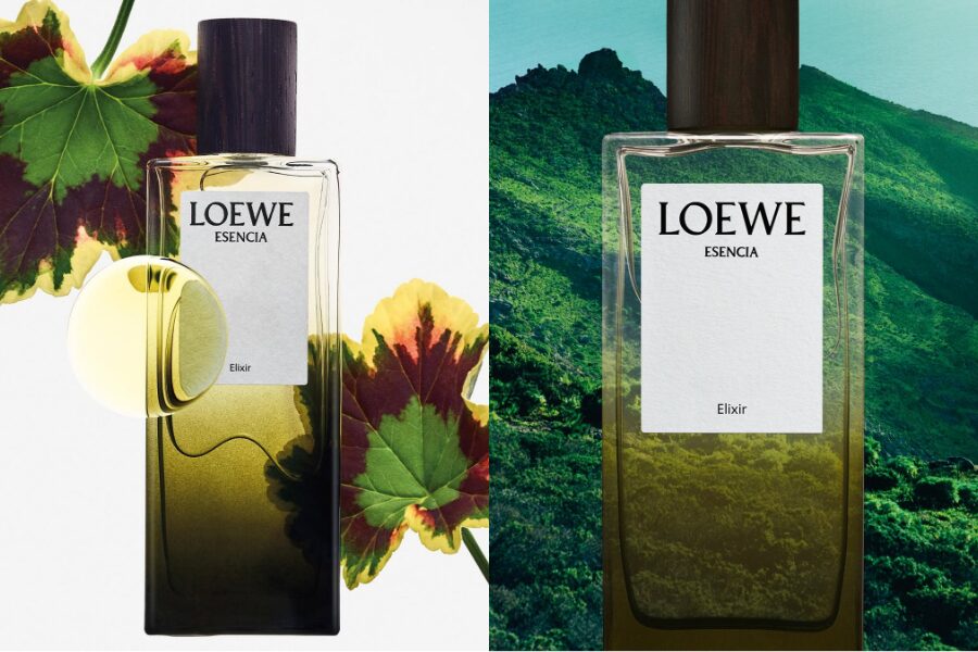 LOEWE Perfumes Những Sắc Xanh dành riêng cho người Cha hiện đại