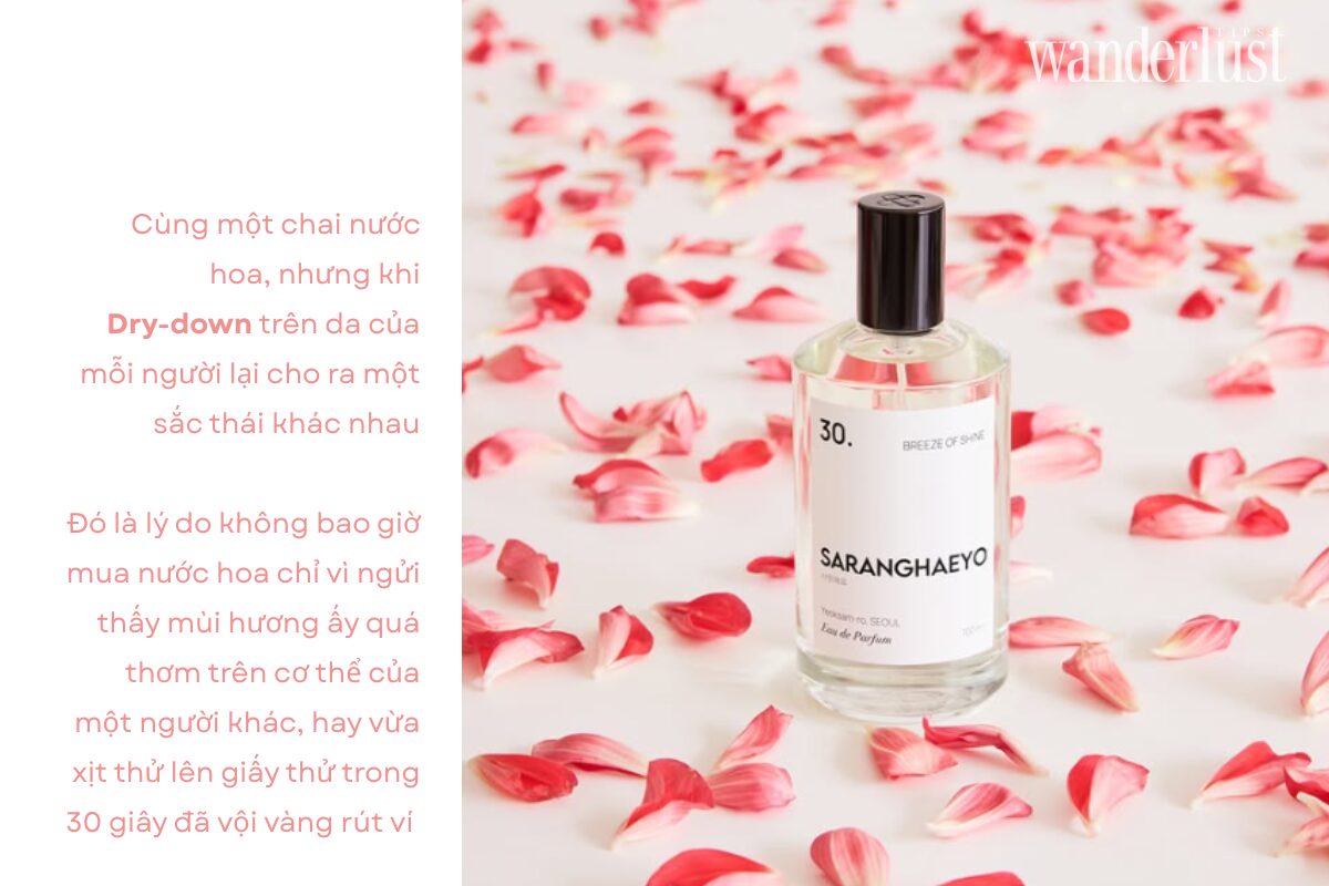 Nốt hương biến chuyển: Thời gian và nghệ thuật kim tự tháp khứu giác 6 Nốt hương biến chuyển Thời gian luận và nghệ thuật kim tự tháp khứu giác
