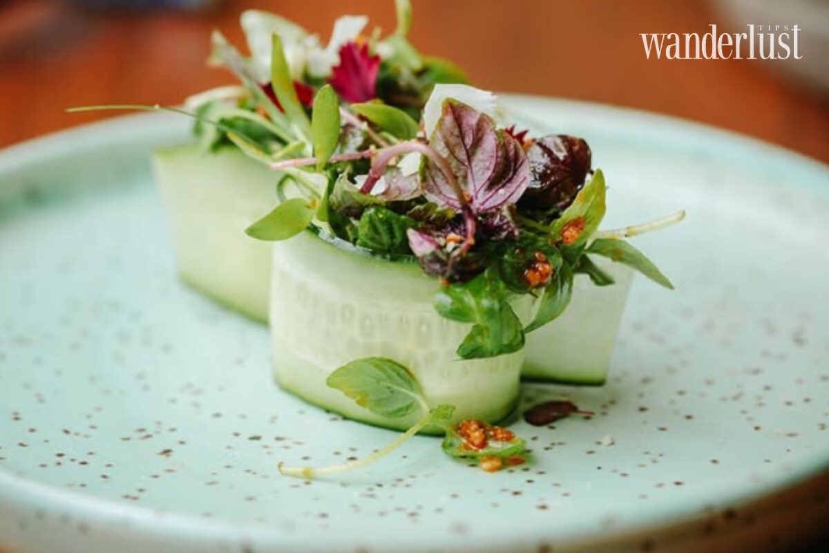Vegan Omakase: Khi triết lý Wellness nâng tầm nghệ thuật ẩm thực Chay