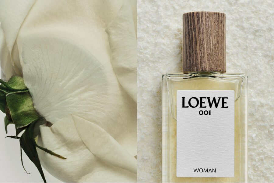 LOEWE 001: Khi Một Khởi Đầu Trở Thành Biểu Tượng 6 LOEWE 001 Khi Một Khởi Đầu Trở Thành Biểu Tượng