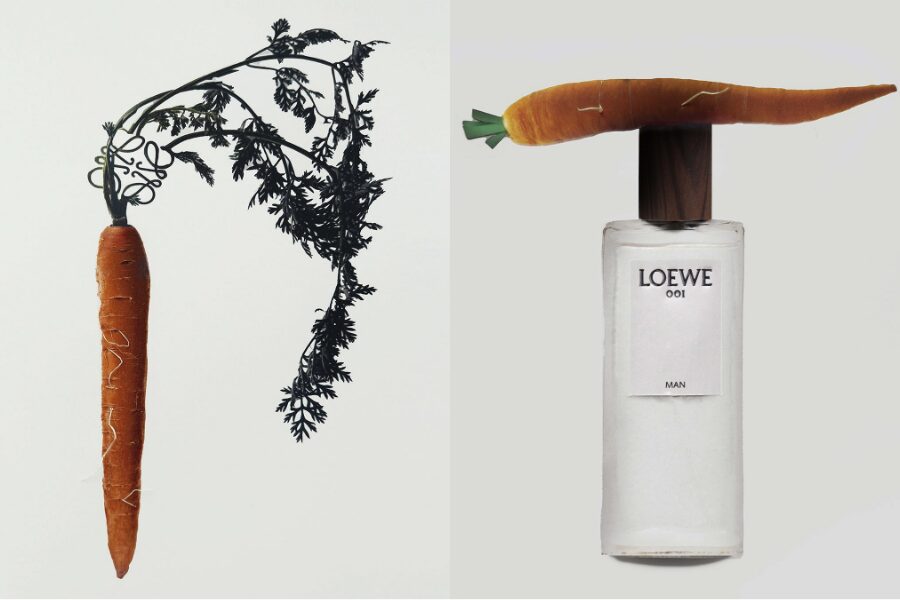 LOEWE 001: Khi Một Khởi Đầu Trở Thành Biểu Tượng 8 LOEWE 001 Khi Một Khởi Đầu Trở Thành Biểu Tượng