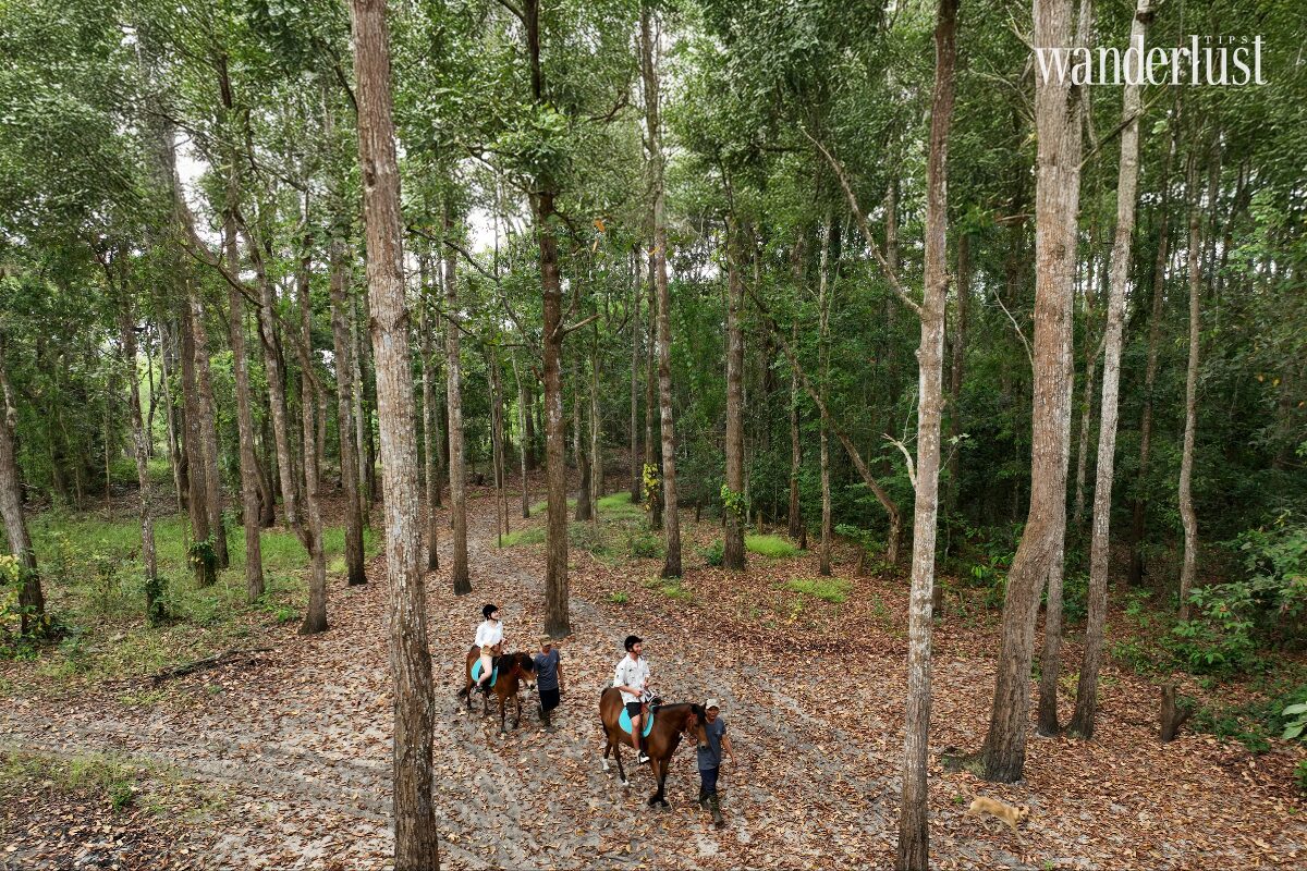 Trần Tuấn Vinh: Bên trong triết lý bền vững của Angsana & Dhawa Hồ Tràm 10 Trần Tuấn Vinh Bên trong triết lý bền vững của Angsana Dhawa Hồ Tràm