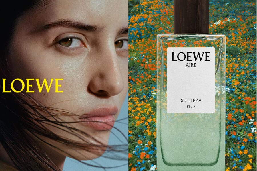 Top 3 mùi hương Elixir đình đám trong bộ sưu tập Landscape của Loewe 6 Top 3 mùi hương Elixir đình đám trong bộ sưu tập Landscape của Loewe