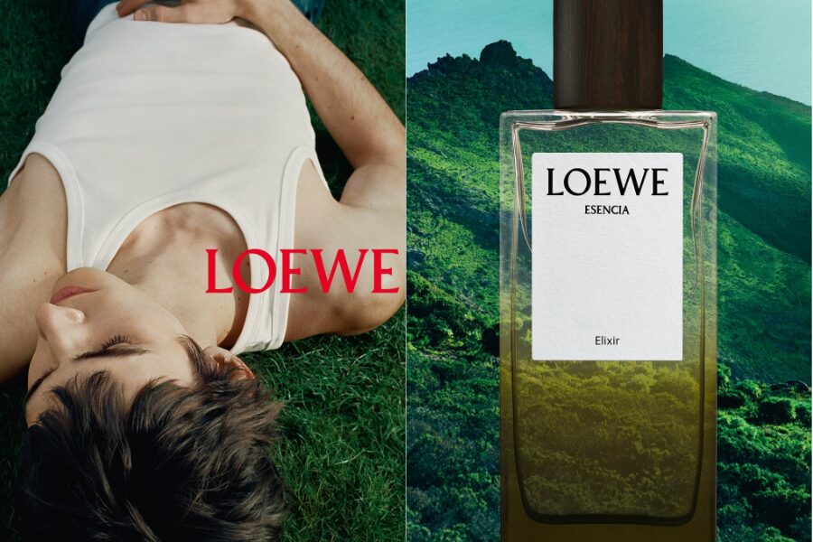 Top 3 mùi hương Elixir đình đám trong bộ sưu tập Landscape của Loewe 8 Esencia Elixir - dấu ấn mạnh mẽ của một quý ông đĩnh đạc