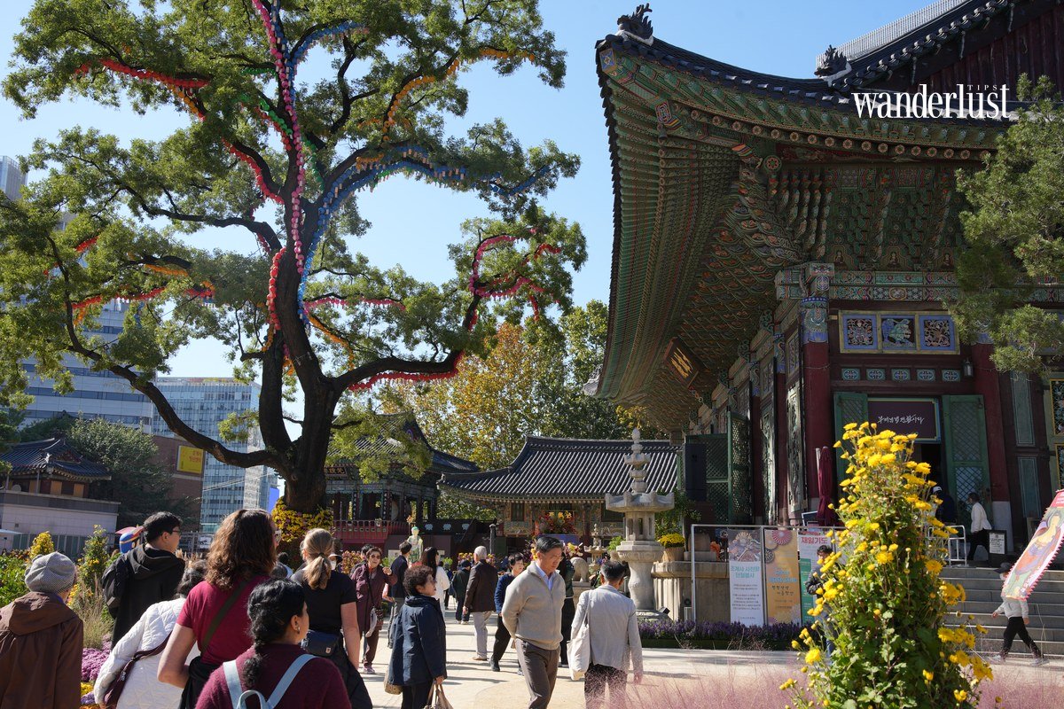 Chữa lành tinh thần giữa Seoul