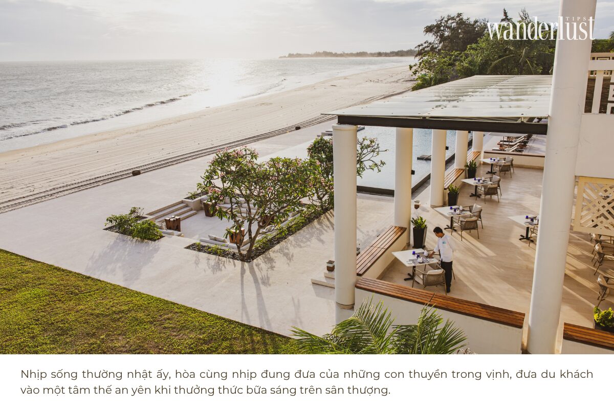 Đến Azerai Ke Ga Bay, Học Cách Lắng Nghe Nhịp Đập Tự Nhiên 7 Text duoi Viet
